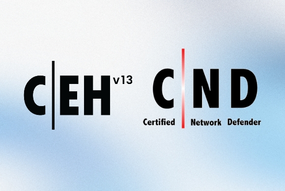 Ethical Hacking and Network Defense  Program: